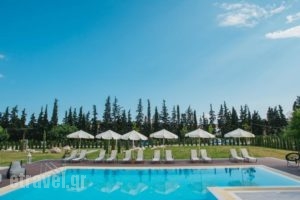 Olea Mare_travel_packages_in_Macedonia_Halkidiki_Poligyros