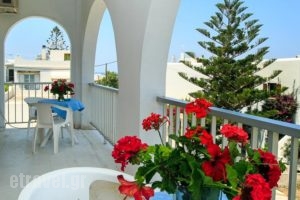 John's Rooms & Studios_best deals_Room_Cyclades Islands_Paros_Paros Chora