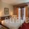 City Hotel Apollonion_best prices_in_Hotel_Central Greece_Evritania_Karpenisi