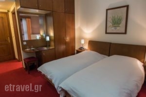 City Hotel Apollonion_lowest prices_in_Hotel_Central Greece_Evritania_Karpenisi