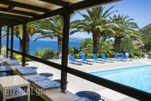 Metaxatos Apartments_lowest prices_in_Apartment_Ionian Islands_Kefalonia_Argostoli