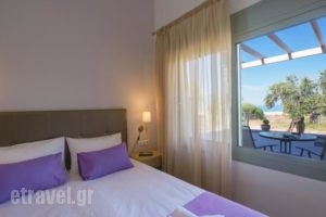 Terra di Olive_best prices_in_Hotel_Macedonia_Kavala_Kavala City