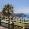 Niforos Apartments_best deals_Apartment_Ionian Islands_Kefalonia_Kefalonia'st Areas