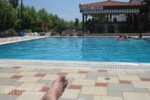 Villa Myrto_best deals_Villa_Crete_Heraklion_Chersonisos