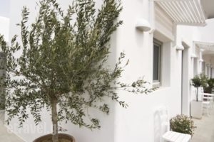 Mykonos Unique Apartment_lowest prices_in_Apartment_Cyclades Islands_Mykonos_Mykonos ora