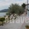 Hotel Prinos_best deals_Hotel_Aegean Islands_Thassos_Thassos Chora