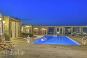 Senses Luxury Villa Ornos_accommodation_in_Villa_Cyclades Islands_Mykonos_Mykonos ora