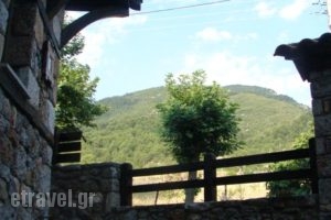 To Palio Litochoro_holidays_in_Hotel_Macedonia_Pieria_Litochoro