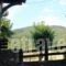 To Palio Litochoro_holidays_in_Hotel_Macedonia_Pieria_Litochoro