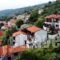 Boutique Hotel Kentrikon & Bungalows_best deals_Hotel_Thessaly_Magnesia_Mouresi