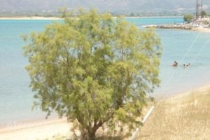 To Kyma_best deals_Hotel_Peloponesse_Lakonia_Elafonisos