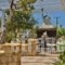 Villa Ntora_best prices_in_Villa_Dodekanessos Islands_Karpathos_Karpathos Chora