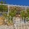 Villa Ntora_best deals_Villa_Dodekanessos Islands_Karpathos_Karpathos Chora