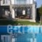 Sunny Sani Luxury Villas_best deals_Villa_Macedonia_Halkidiki_Kassandreia