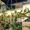 Angelica Villas Hotel Apartments_travel_packages_in_Peloponesse_Argolida_Archea (Palea) Epidavros