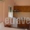 Studios Kyriaki_best deals_Hotel_Aegean Islands_Thasos_Thasos Chora