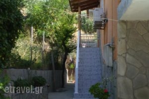 Studios Kyriaki_holidays_in_Hotel_Aegean Islands_Thasos_Thasos Chora