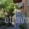 Studios Kyriaki_holidays_in_Hotel_Aegean Islands_Thasos_Thasos Chora