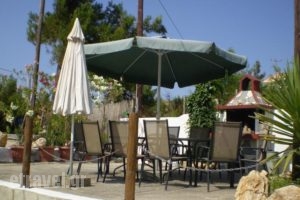 Studios Kyriaki_accommodation_in_Hotel_Aegean Islands_Thasos_Thasos Chora