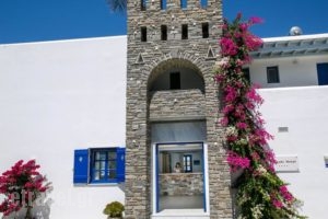 Pargaki Hotel_lowest prices_in_Hotel_Cyclades Islands_Paros_Paros Chora