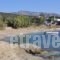 Mitatos_best deals_Hotel_Cyclades Islands_Naxos_Naxos Rest Areas