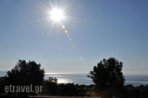 Mitatos_travel_packages_in_Cyclades Islands_Naxos_Naxos Rest Areas