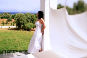 Olivemare_holidays_in_Hotel_Ionian Islands_Kefalonia_Katelios