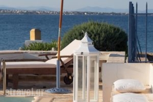 Villa Blue Island_holidays_in_Villa_Central Greece_Attica_Spata