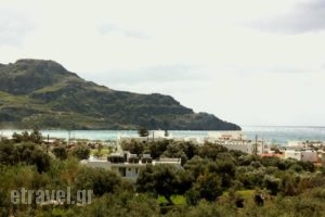 Emilia Apartments_lowest prices_in_Apartment_Crete_Rethymnon_Plakias