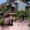 Achilleas Rooms_best deals_Room_Ionian Islands_Lefkada_Sivota