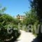 Emely Apartments_best deals_Apartment_Ionian Islands_Corfu_Corfu Rest Areas