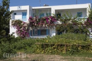 Mira Mare Studios_accommodation_in_Hotel_Dodekanessos Islands_Lipsi_Lipsi Chora