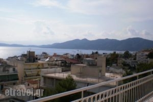 Iason Apartments_holidays_in_Apartment_Central Greece_Evia_Edipsos