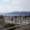 Iason Apartments_holidays_in_Apartment_Central Greece_Evia_Edipsos