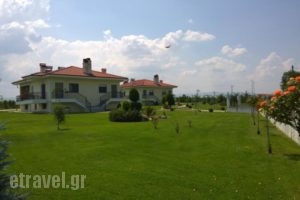 Mouses Apartments_holidays_in_Apartment_Macedonia_kastoria_Aposkepos