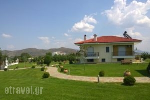 Mouses Apartments_best deals_Apartment_Macedonia_kastoria_Aposkepos