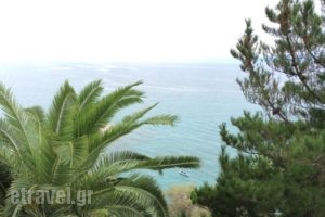 Apollon Apartments_best prices_in_Apartment_Thessaly_Magnesia_Pilio Area