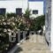 Utopia Hotel Apartments_travel_packages_in_Ionian Islands_Lefkada_Drimonas