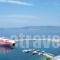 Hotel Selenunda_accommodation_in_Hotel_Sporades Islands_Skiathos_Skiathos Chora