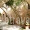 Kamares Houses_best deals_Hotel_Crete_Chania_Sfakia