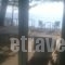 Sea And House_best deals_Hotel_Macedonia_Pieria_Katerini