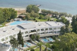 Theophano Imperial Palace_accommodation_in_Hotel_Macedonia_Halkidiki_Kassandreia