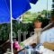 Asteri Studios_best deals_Hotel_Ionian Islands_Zakinthos_Kalamaki