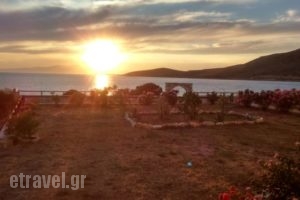 Ammoudia Studios_lowest prices_in_Hotel_Cyclades Islands_Ios_Ios Chora