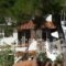 Rooms Olympia_best deals_Room_Aegean Islands_Ikaria_Raches