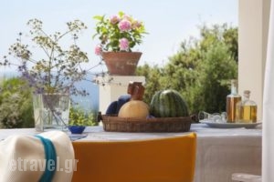 Ploes Villas_best prices_in_Villa_Peloponesse_Ilia_Pyrgos