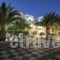 Petra Nera_holidays_in_Hotel_Cyclades Islands_Sandorini_Sandorini Chora