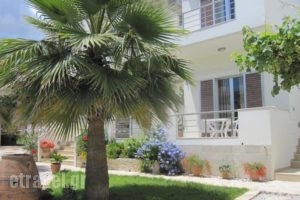 Lion-Suites_best prices_in_Hotel_Crete_Chania_Kalyves