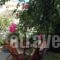 Twin House_best deals_Hotel_Piraeus Islands - Trizonia_Spetses_Spetses Chora