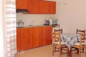 Flamingo Apartments_travel_packages_in_Crete_Lasithi_Sitia